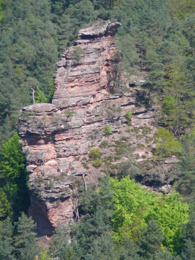 Waldhotel Felsentor Hauenstein Kültér fotó